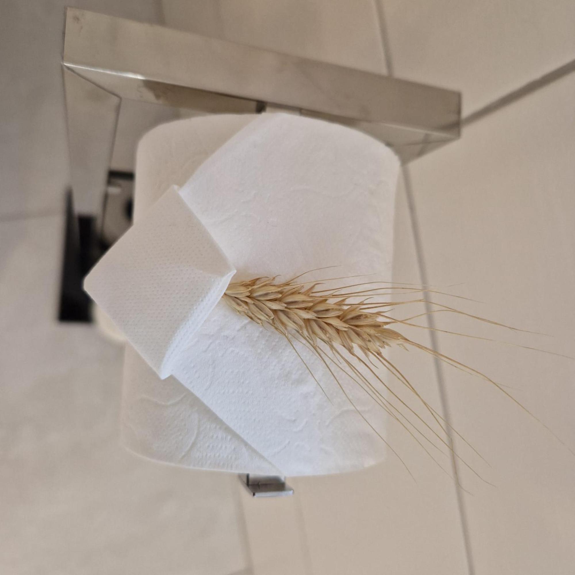 Chambres D'Hotes Chez Linda Stephane Le Passe Compose Preuschdorf Εξωτερικό φωτογραφία