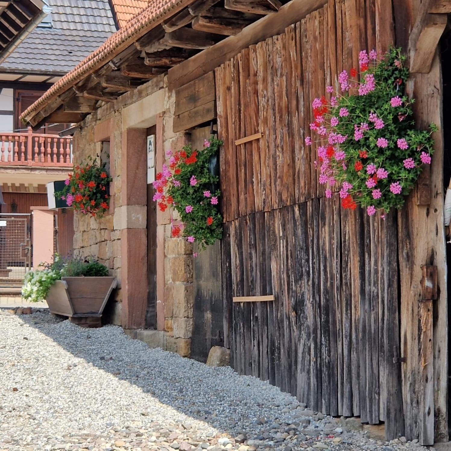 Chambres D'Hotes Chez Linda Stephane Le Passe Compose Preuschdorf Εξωτερικό φωτογραφία